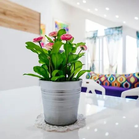 Boutique Nirvana 2, Proboj 25 *