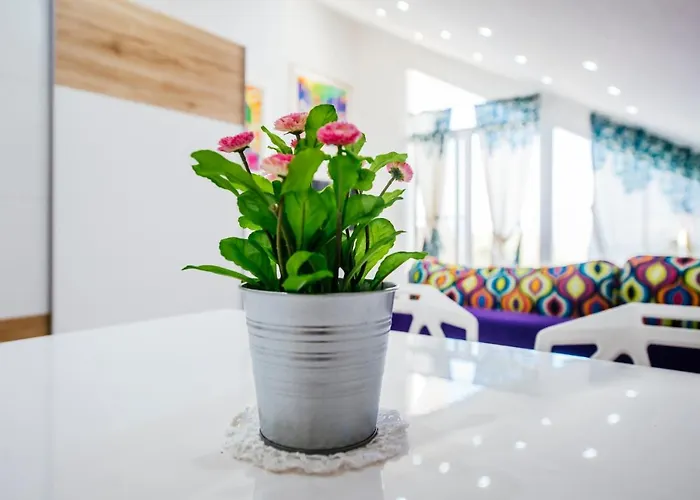 Boutique Nirvana 2, Proboj 25 *